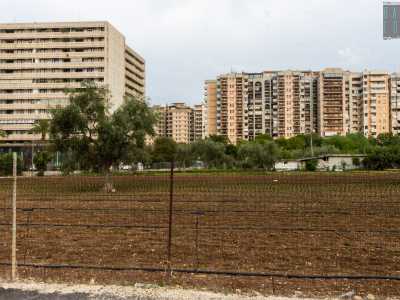 Ma non � l�unico spazio verde qui presente: all�ombra dei palazzoni vi � anche un vasto terreno coltivato sede dell�Orto in citt� di Mario Urbano, dove ogni mattina � possibile comprare prodotti agricoli a km0